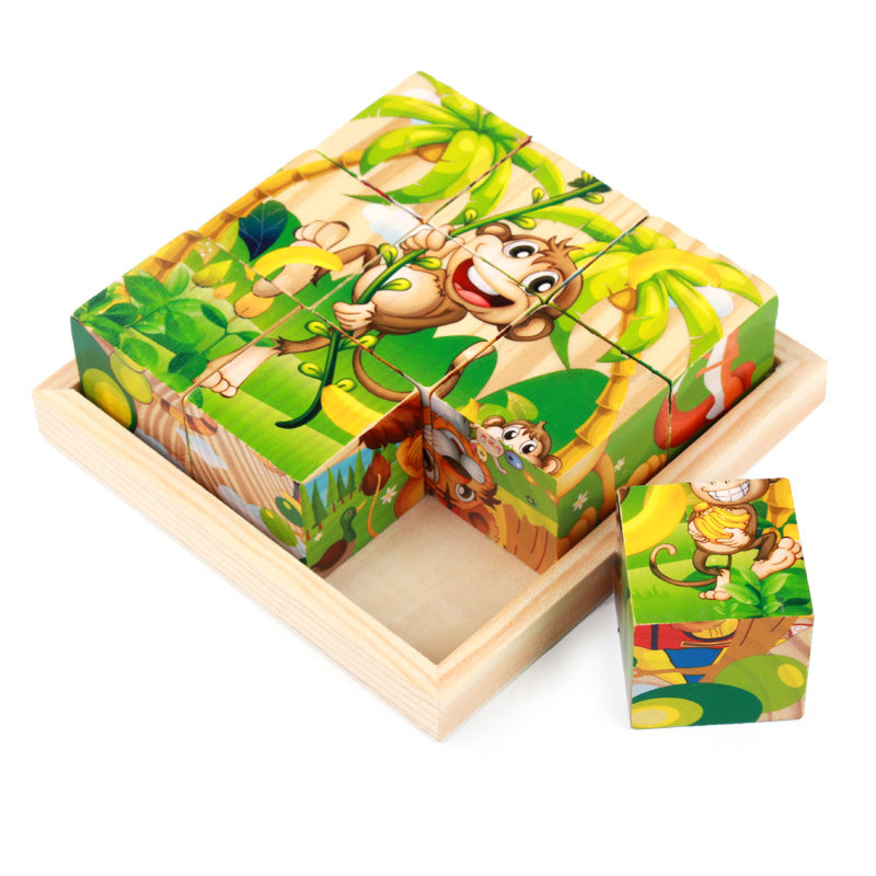 Wooden Six-Sided Puzzle Blocks for Kids
