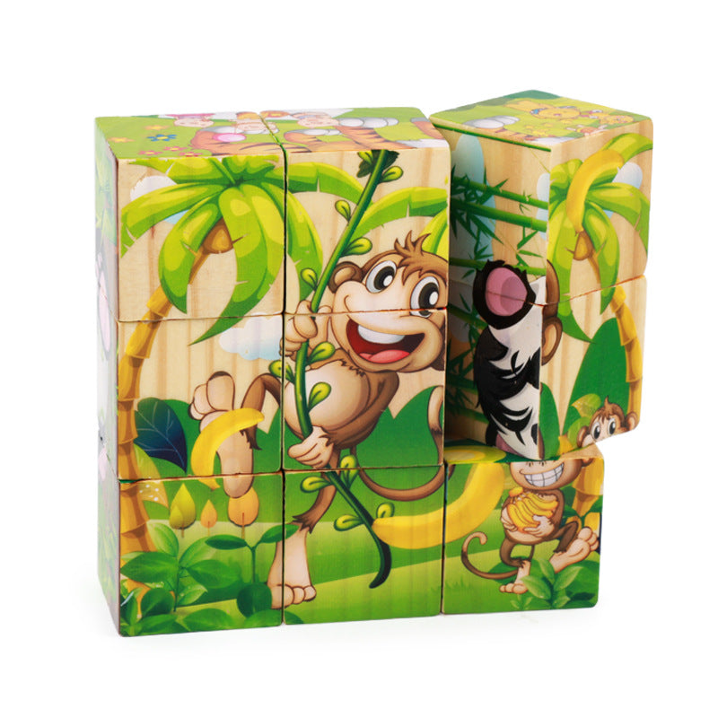 Wooden Six-Sided Puzzle Blocks for Kids