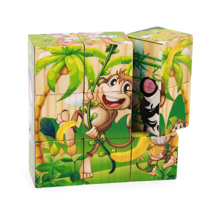 Wooden Six-Sided Puzzle Blocks for Kids