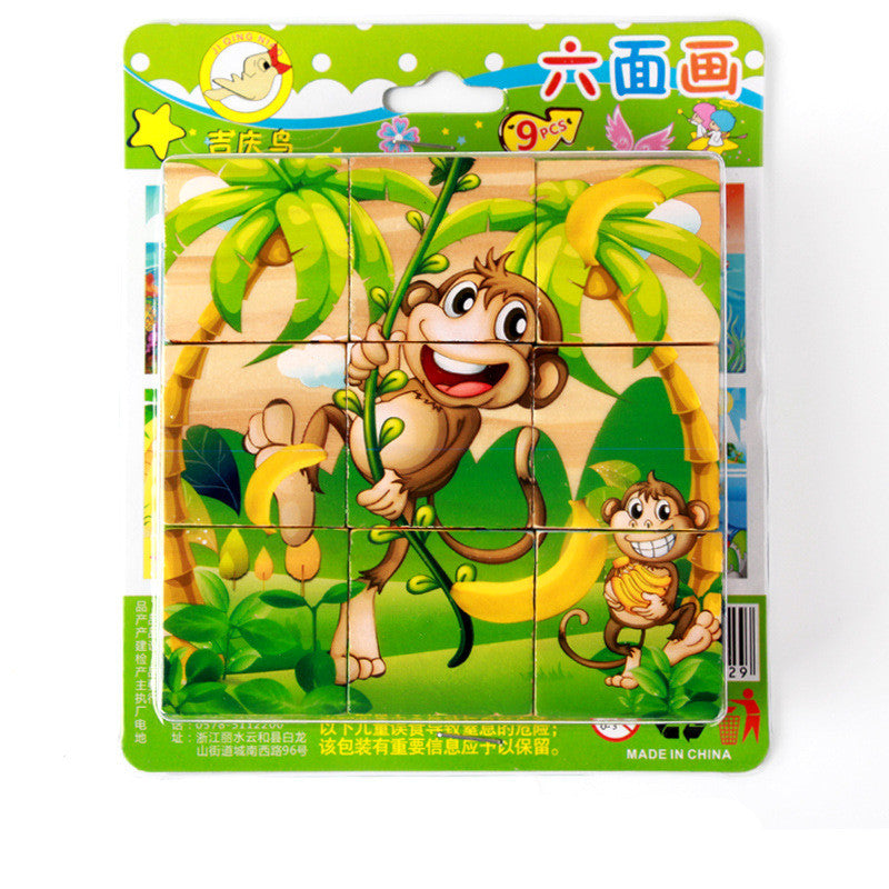 Wooden Six-Sided Puzzle Blocks for Kids